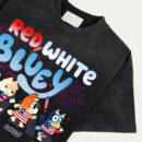 Red, White & Bluey Personalized Shirt, 4th of July Custom Family Shirt, Funny Patriotic Png, Kids 4th Of July png, Cartoon Character Custom Tee